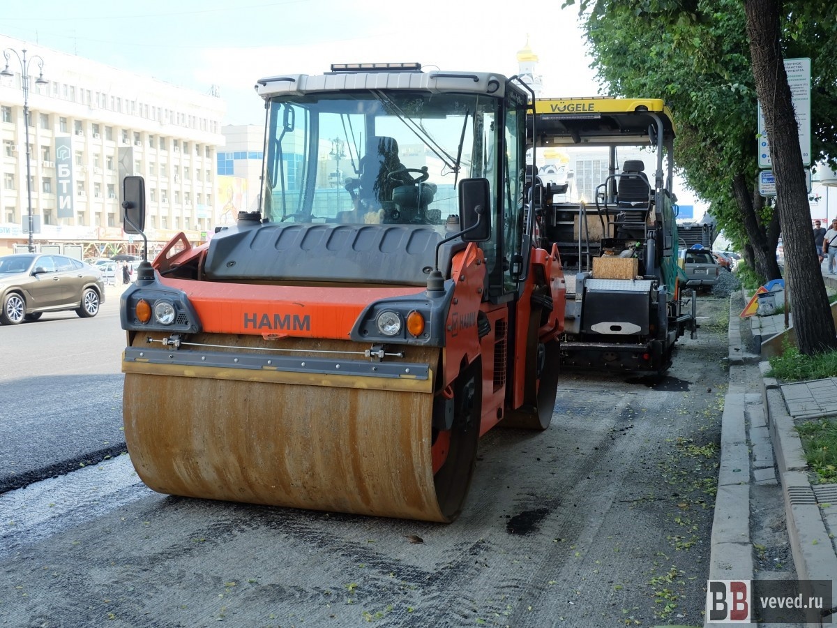    Фото: Владислав Постников / Вечерние ведомости