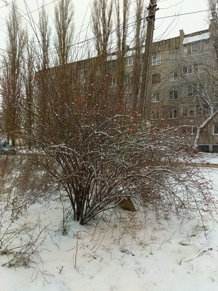 В близлежащем городе