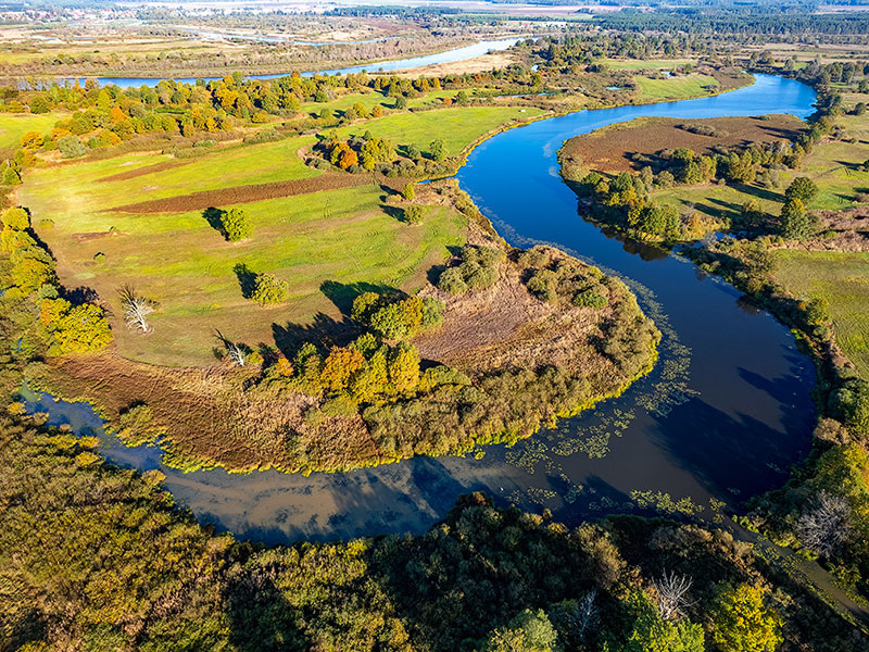 Припятское Полесье