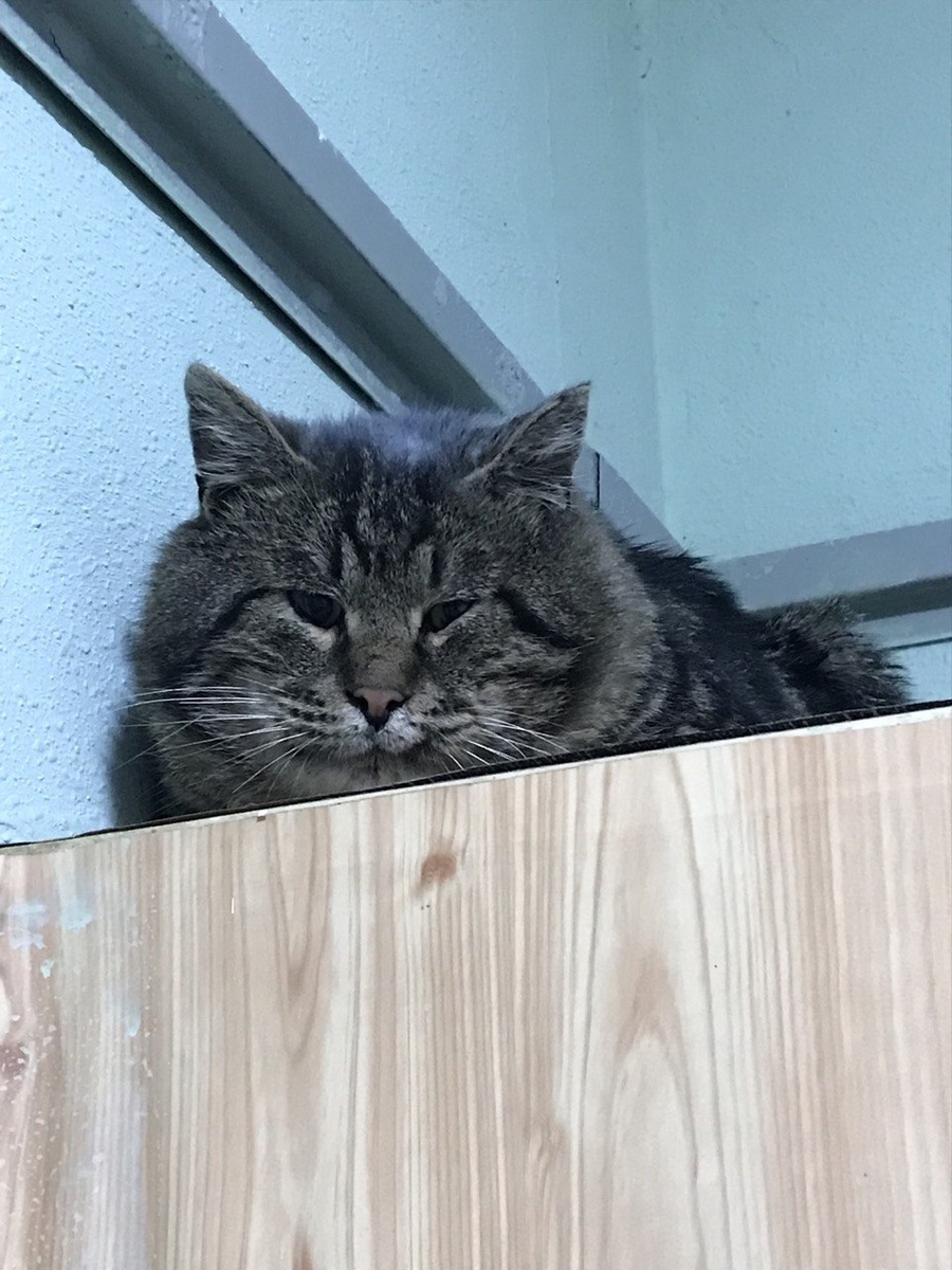 Моя любимая фотка