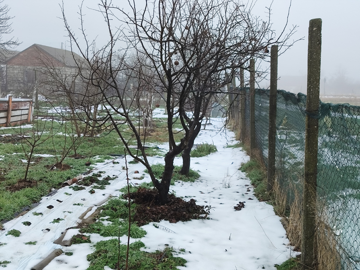 Снег никак не хочет таять...