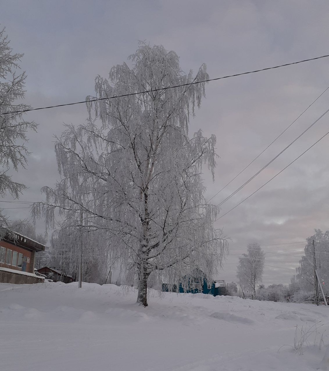 Морозное карельское утро...