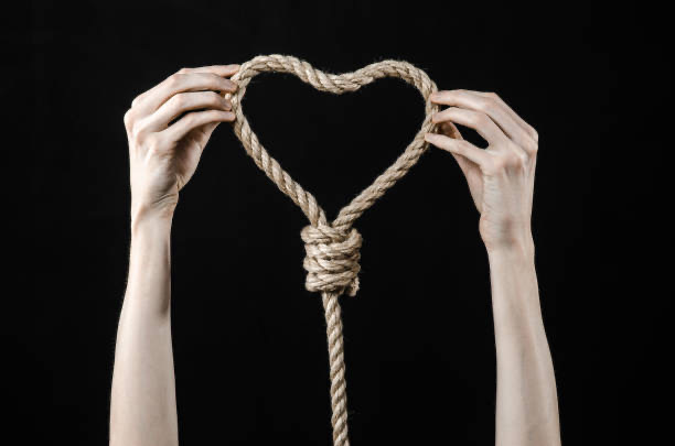 Фото из Интернета 