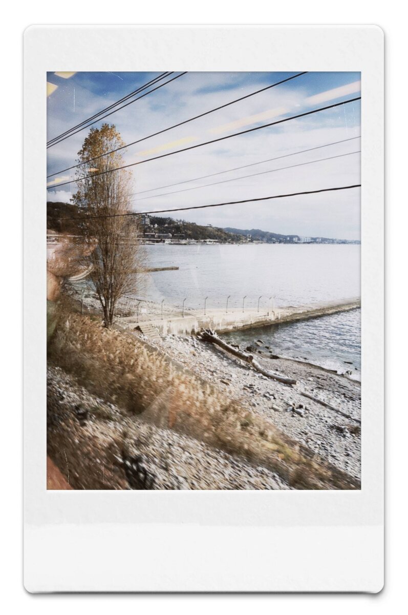 авторская фотография www.boginyairina.ru