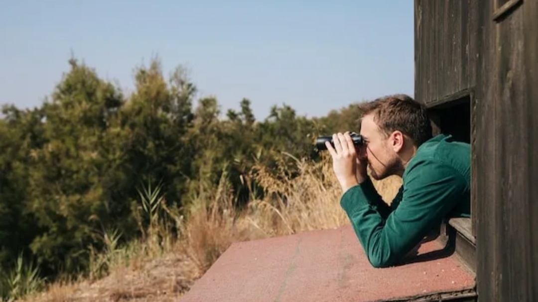 Разглядывает выпуски облигаций