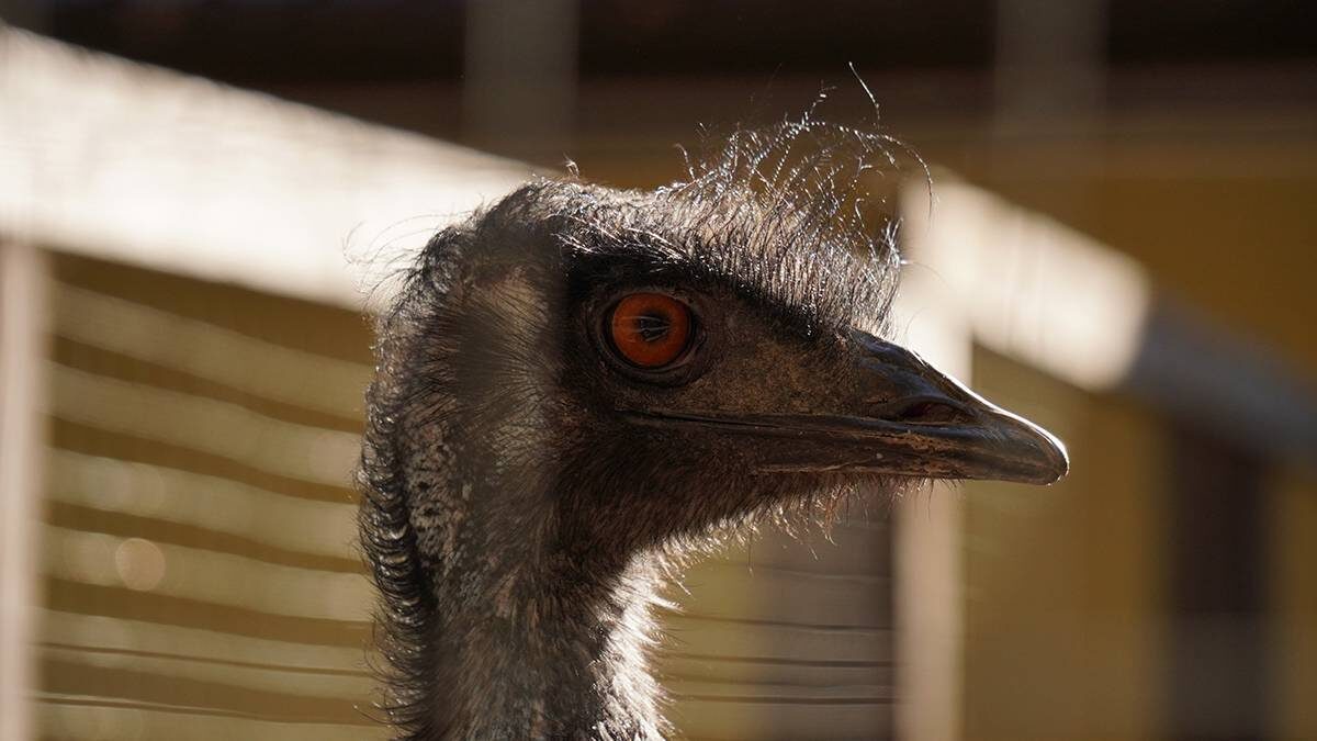    Фото: Анатолий Цымбалюк / Вечерняя Москва