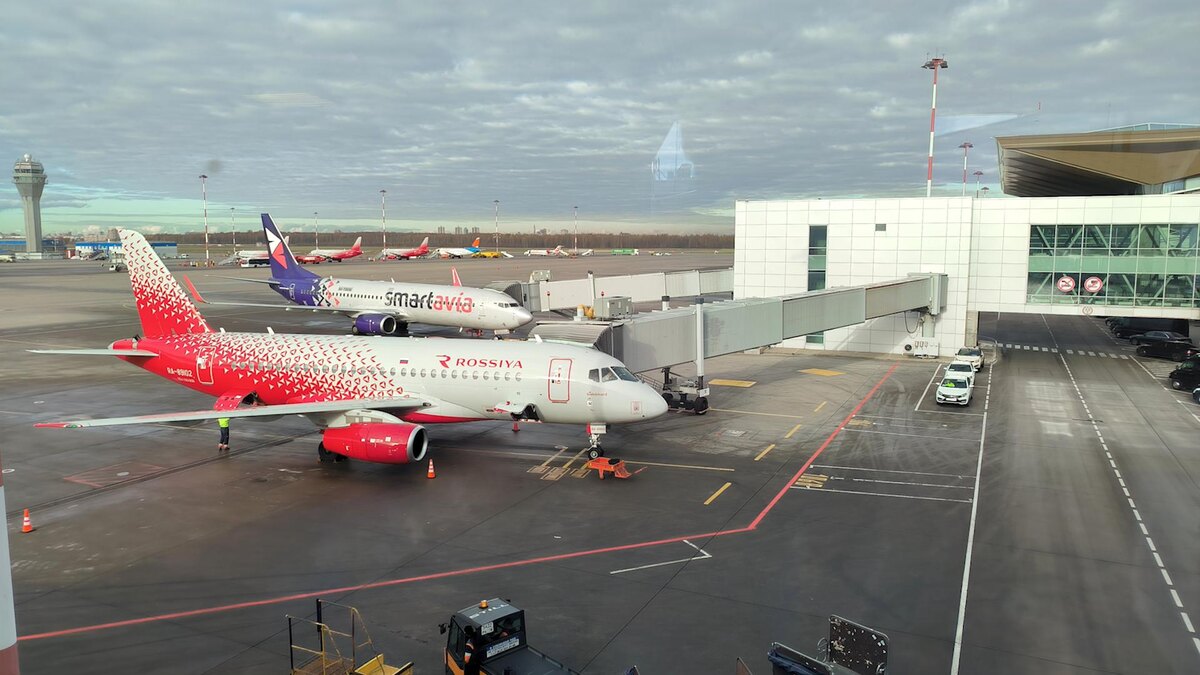    Фото: Maksim Konstantinov/globallookpress.com