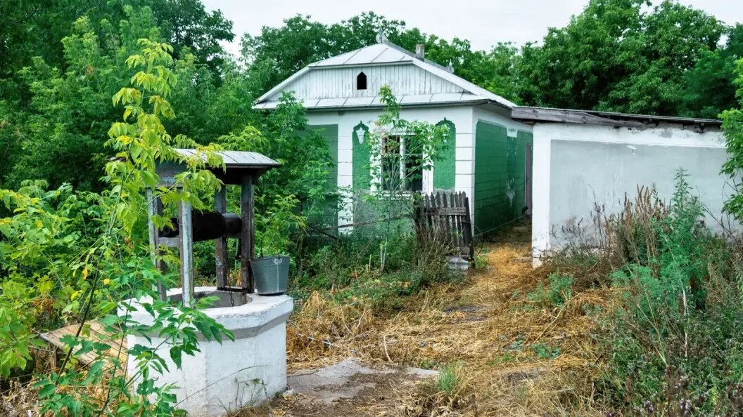    Фото: Царьград