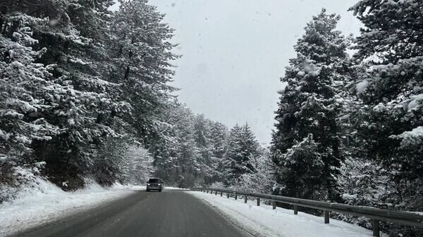    © Sputnik / Дзерасса Техова