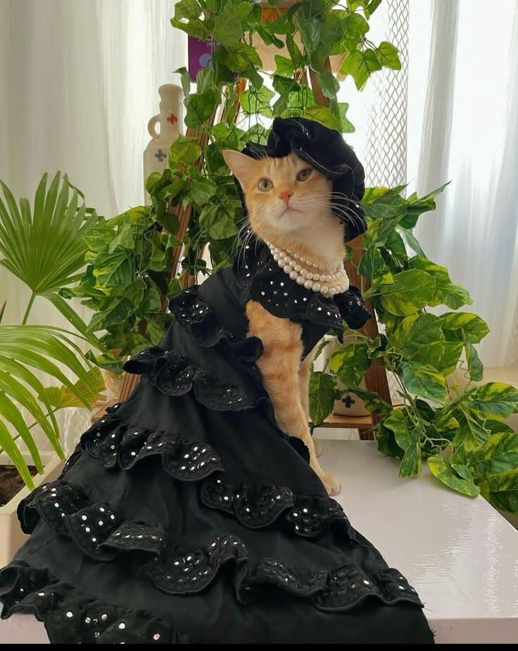 источник Яндекс-картинки