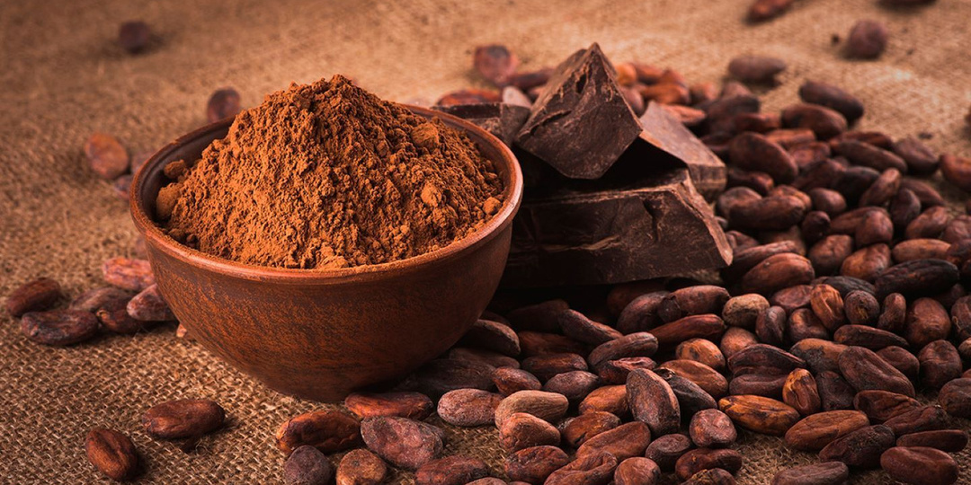 Какао — противоядие от сидячего образа жизни? Что показало новое исследование (и почему диеты с тренировками не всегда спасают)