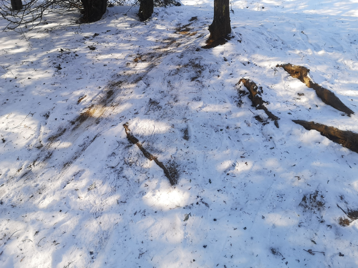 В очередной раз ходила на маркетплейс