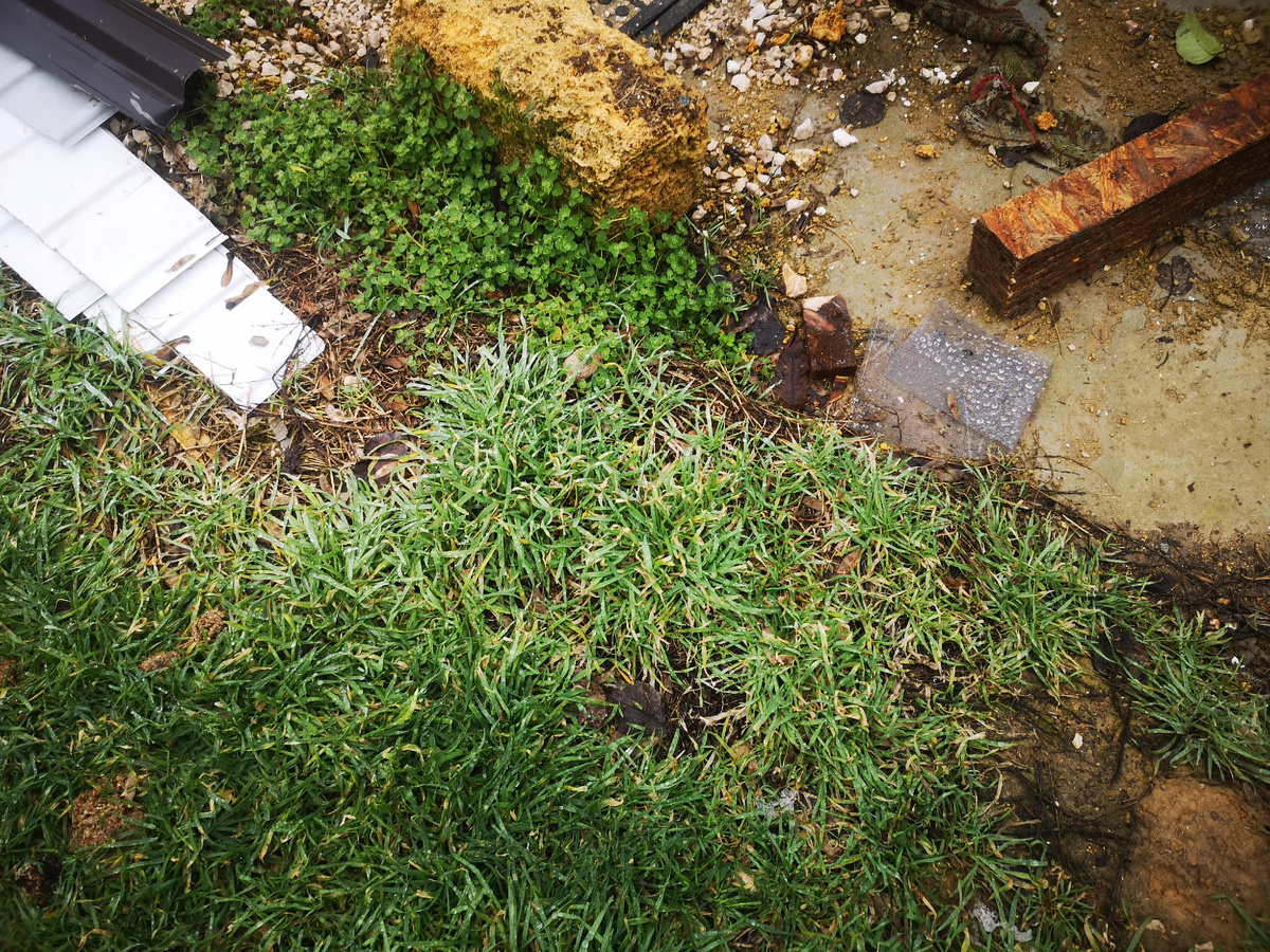 Все в траве