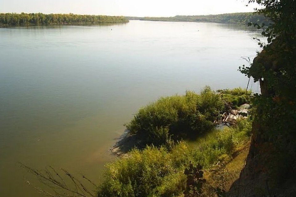   Анна Ковалёва