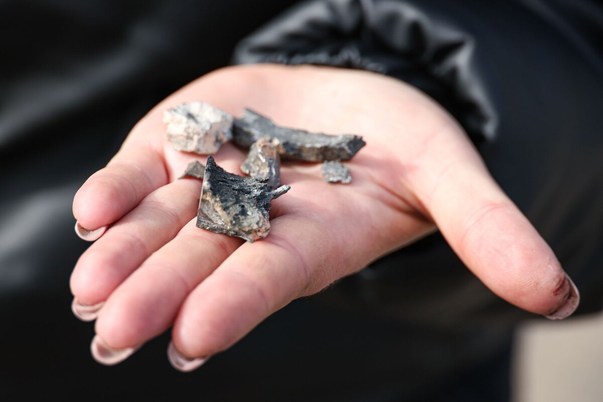     / Источник: © Александр Полегенько/ТАСС