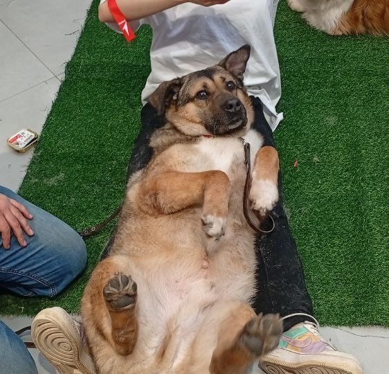 Москва и МО