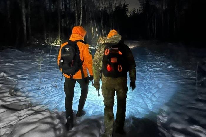 Поиски Александры Лалачкиной. Обложка © VK/ Поисковый отряд "ЛизаАлерт" Воронежской области