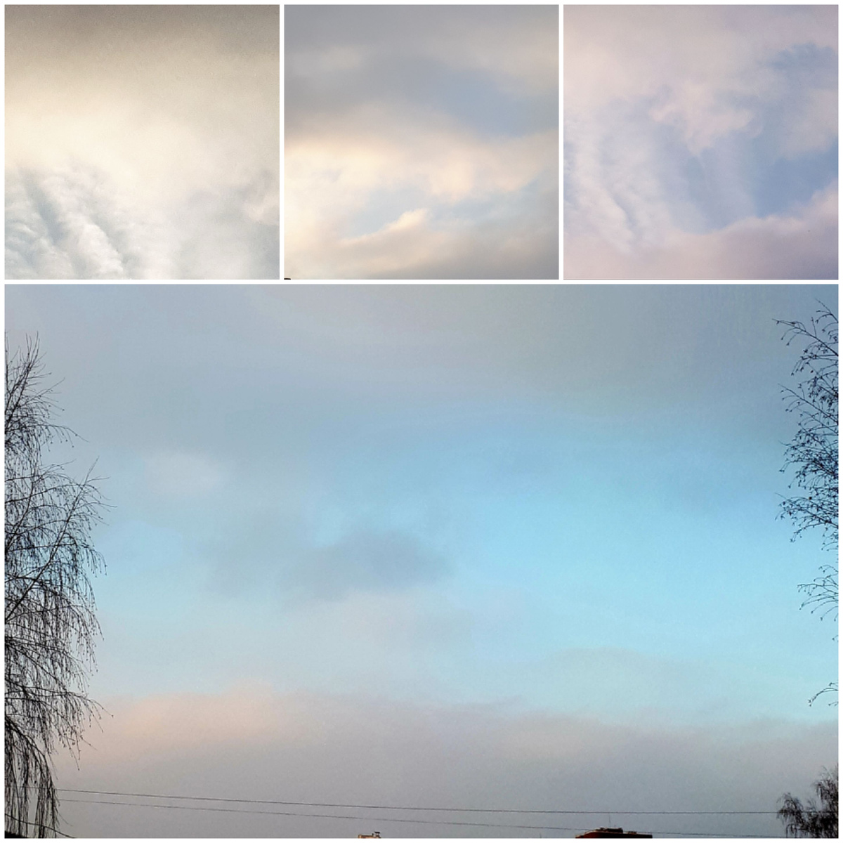 Коллаж автора 24.01.2026г.