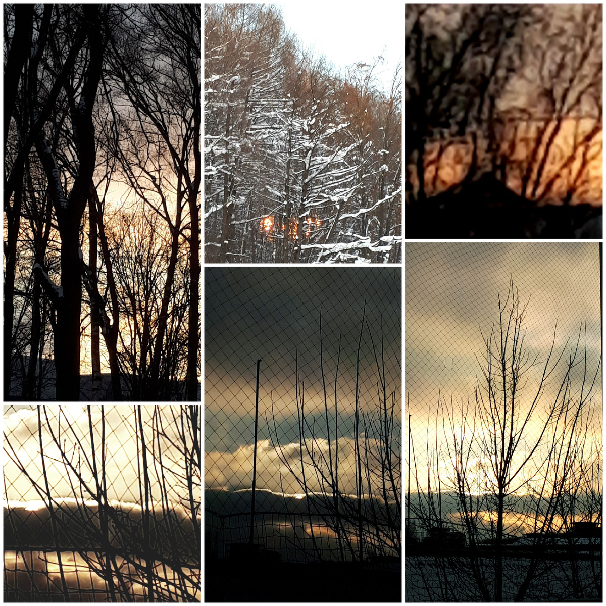 Коллаж автора 24.01.2026г.