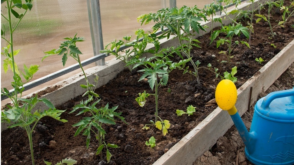 Та же земля через сезон применения методов - разница очевидна