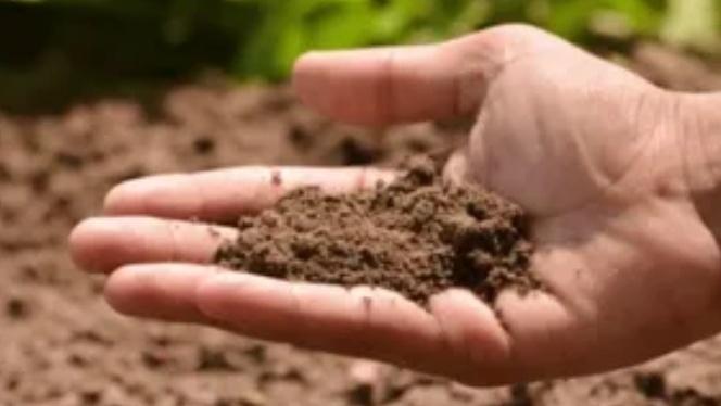 Простой тест определения типа почвы за 10 минут