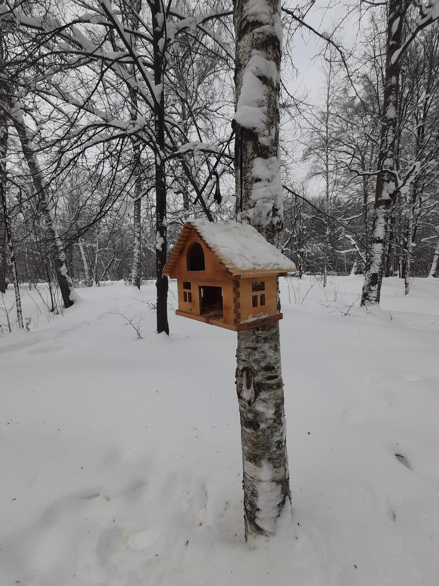 Птичек тоже жалко