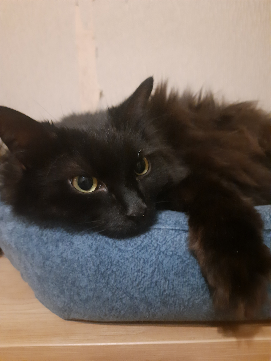 От хороших условий никто не откажется