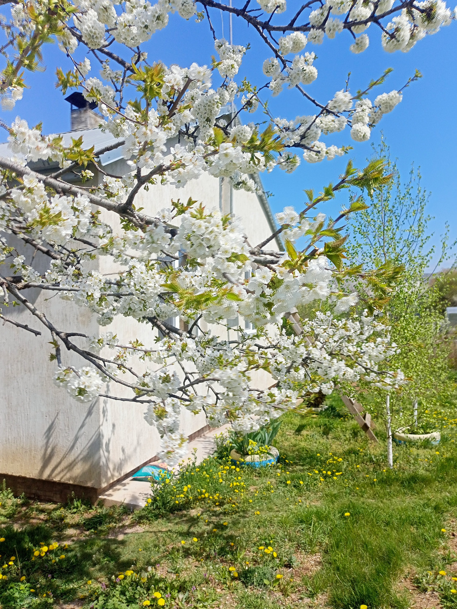 Фото автора. Ещё чуть-чуть и весна!