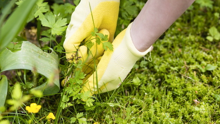 Когда участок превращается в место каторжных работ