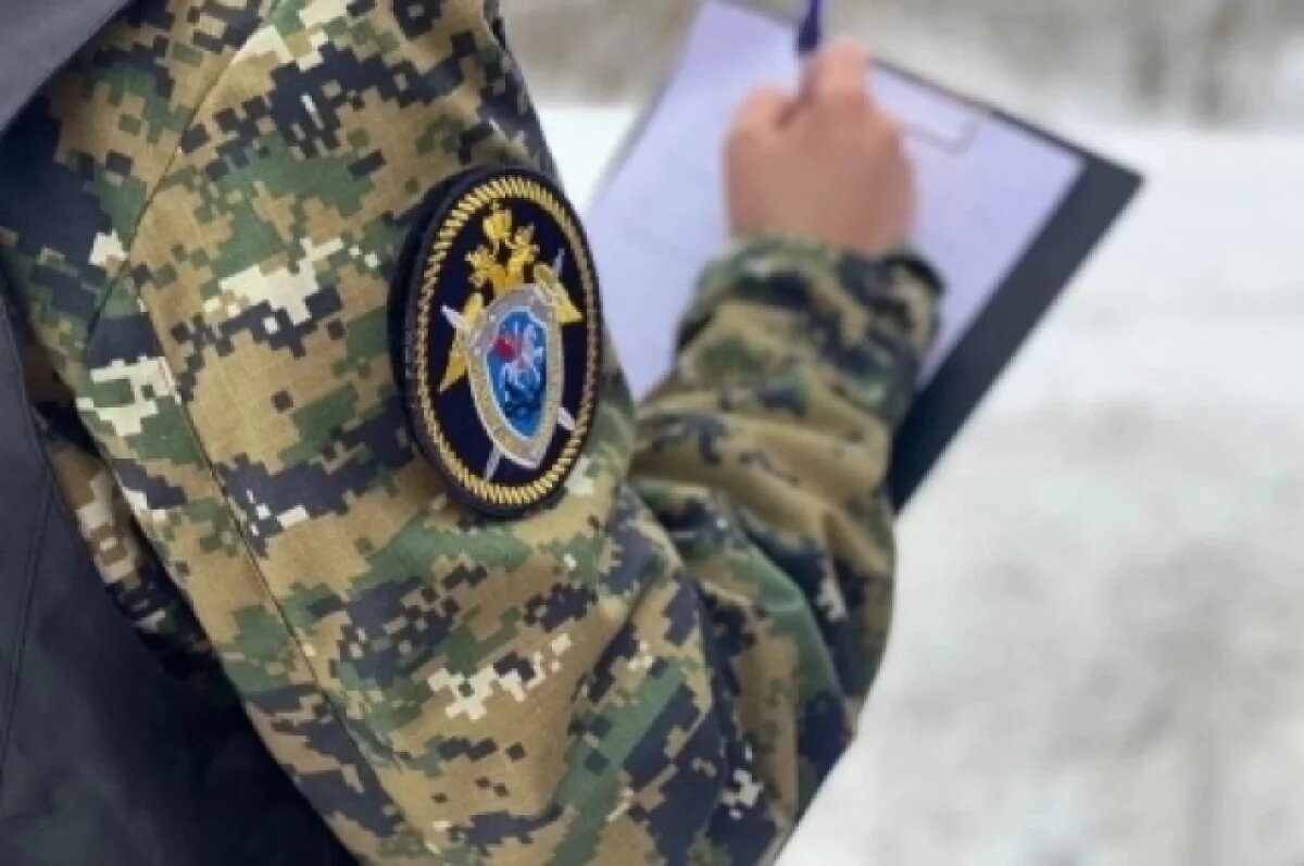    Донские следователи возбудили дело о нападении на девушку бездомных собак