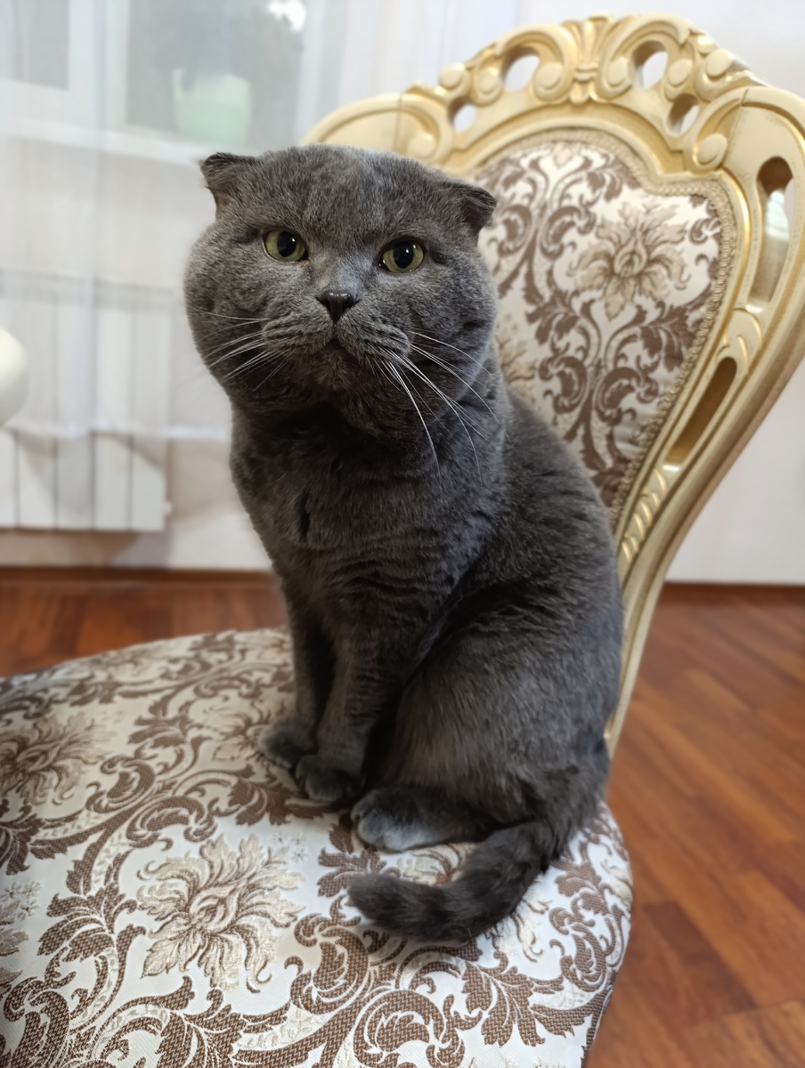 На фото Ричард третий) 