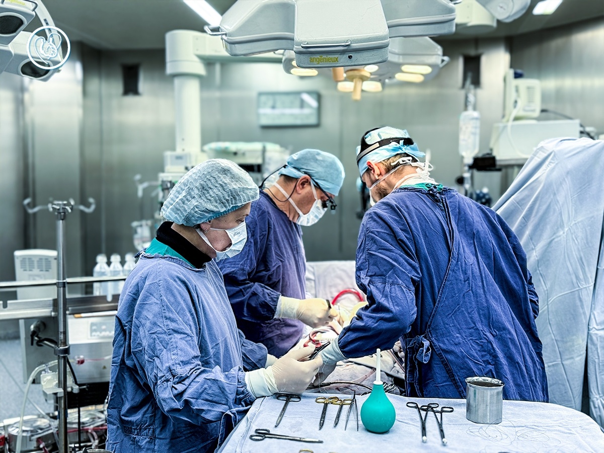 Фото предоставлено НМИЦ сердечно-сосудистой хирургии им. А.Н. Бакулева Минздрава России