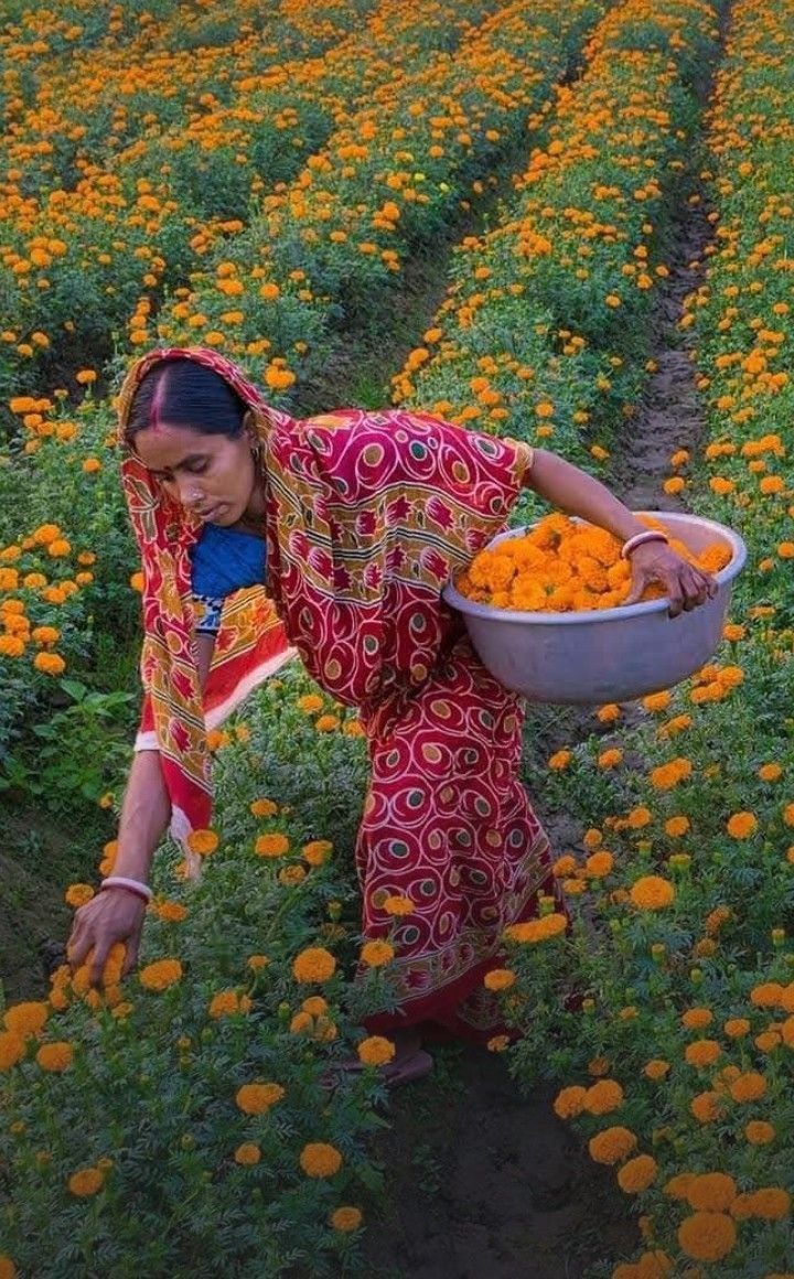 Фото Елены Меланич