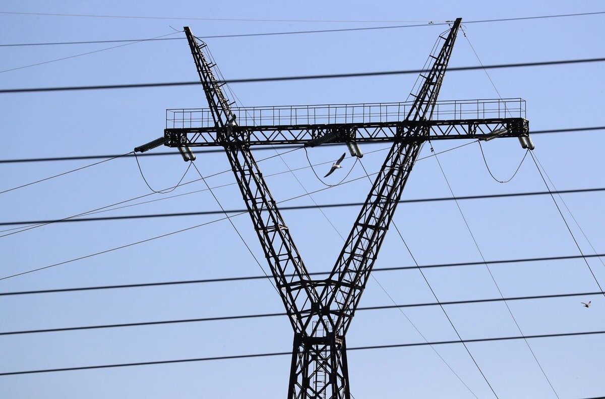     / Источник: © Кирилл Кухмарь/ТАСС