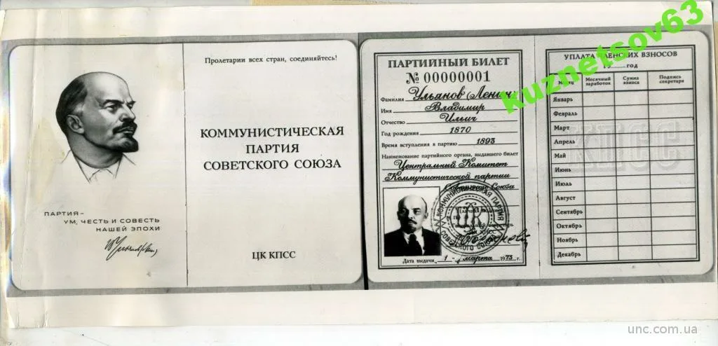 Яндекс Картинки