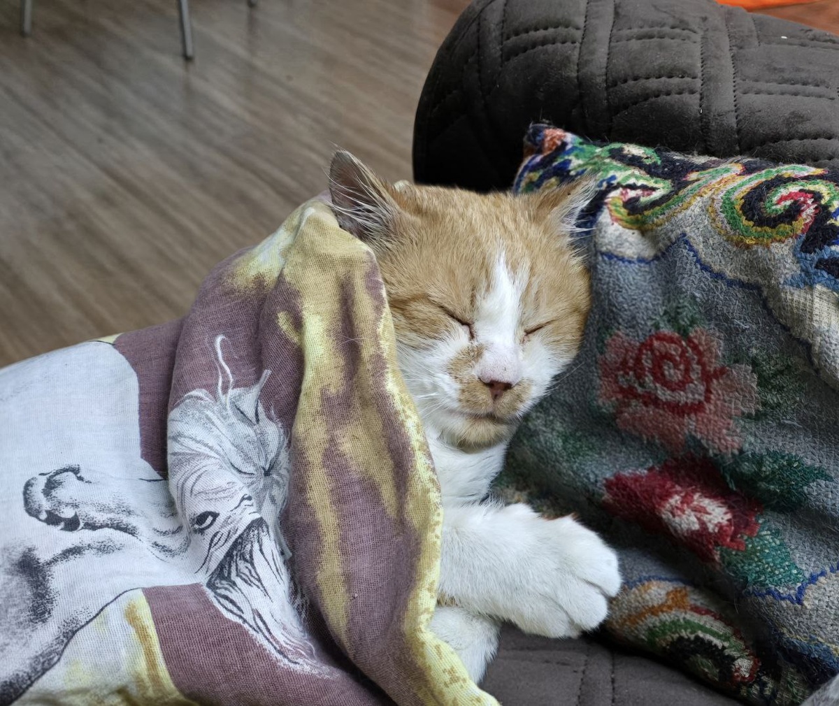 Отогревается