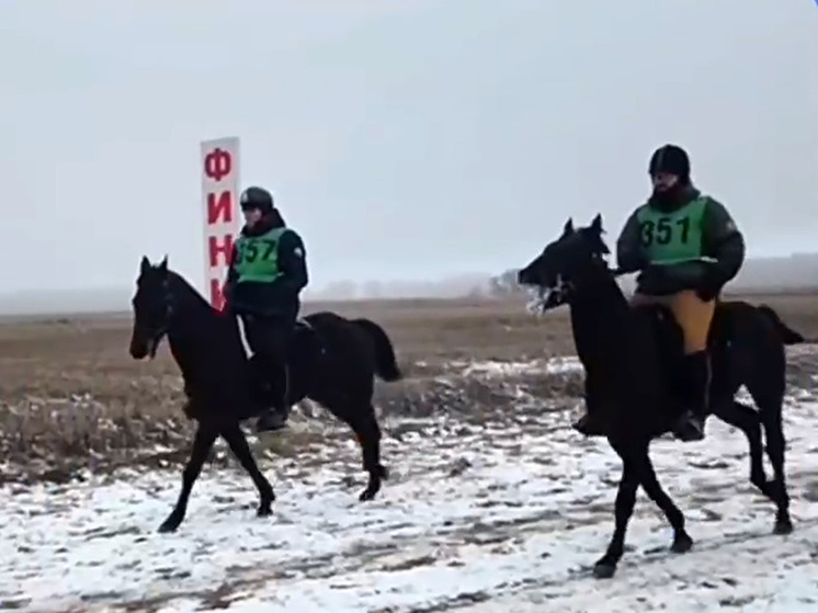     Фото: кадр видео администрации главы КБР