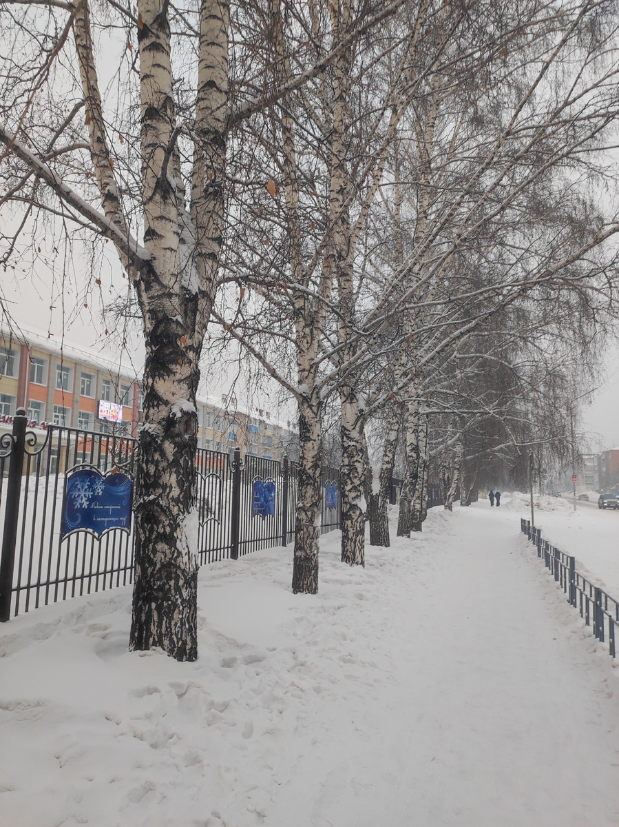 Моя прогулка 