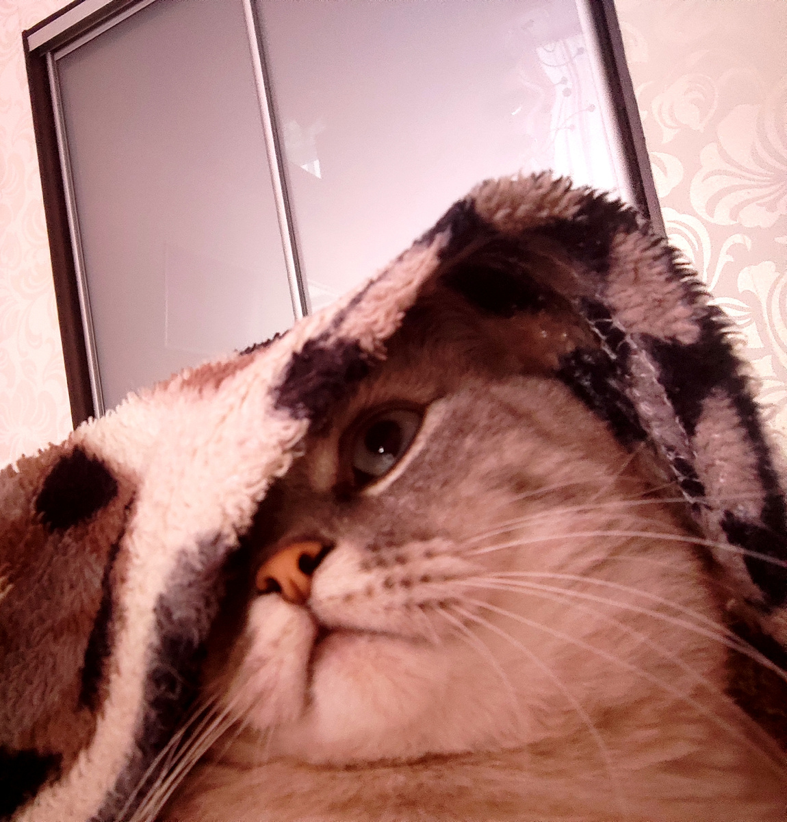 Соня утром 😄😻