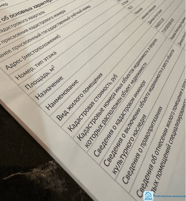 | фото © ISO M-P group