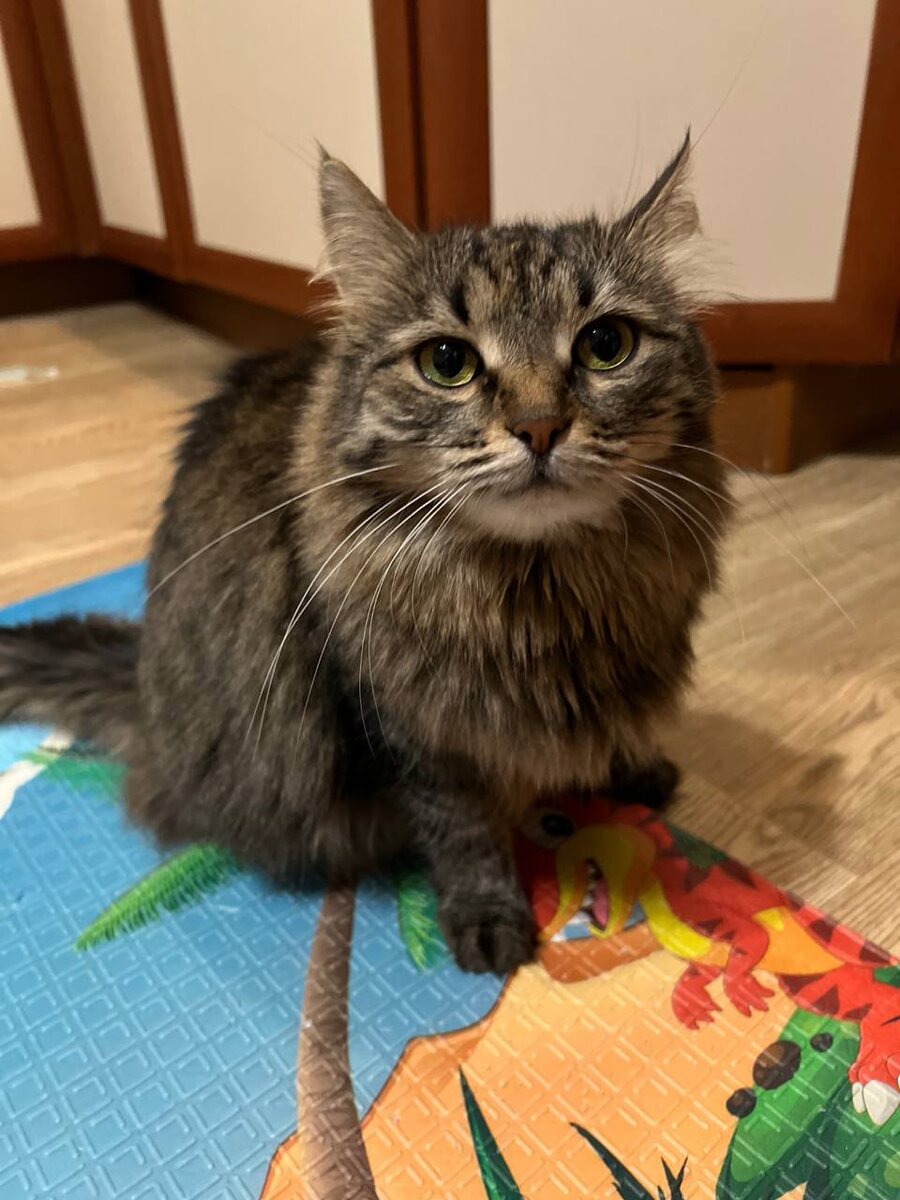 Про меня рассказываешь? Хорошо, читать буду, старайся!