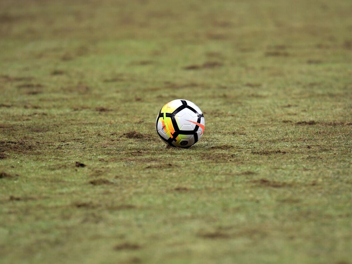    Футбольный мяч на поле | © РИА Новости / Максим Богодвид