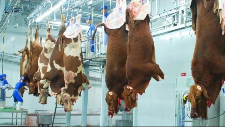 Скриншот с Ютуб