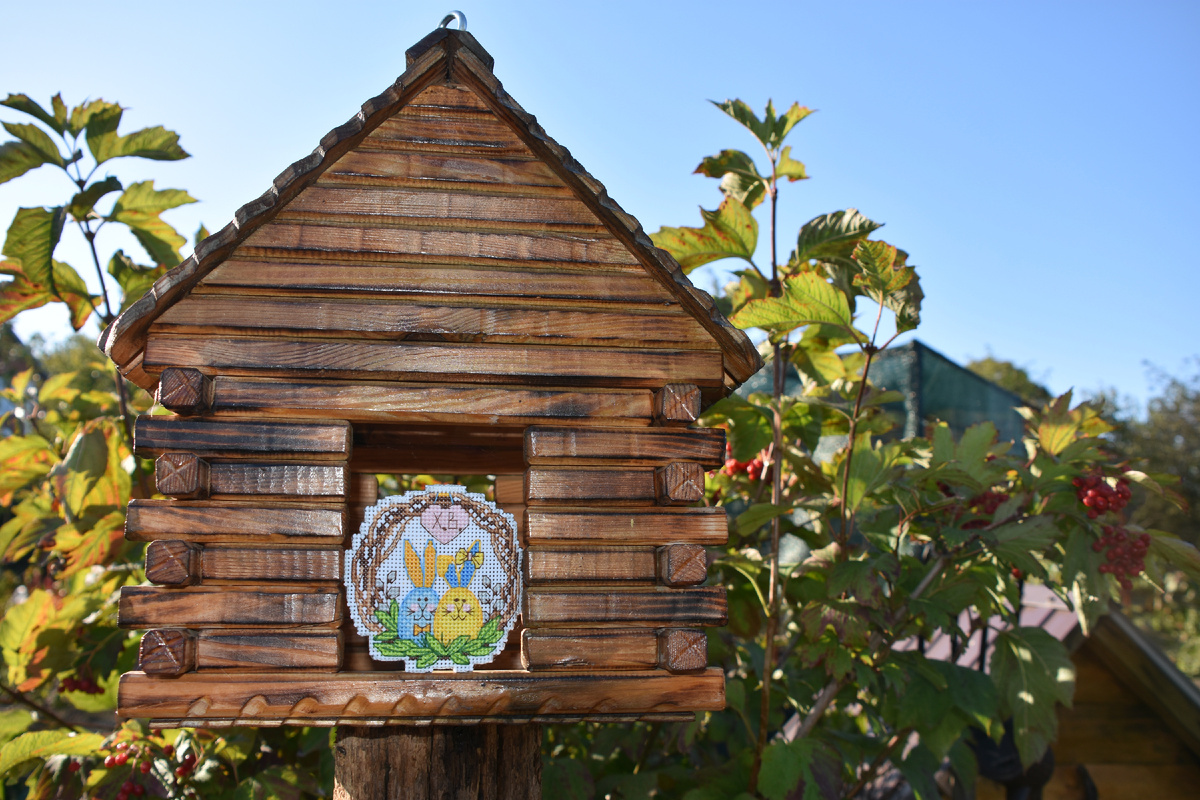 Фото автора, 4 октября 2025 года. "Магнит. Ушастики" от ОВЕН.