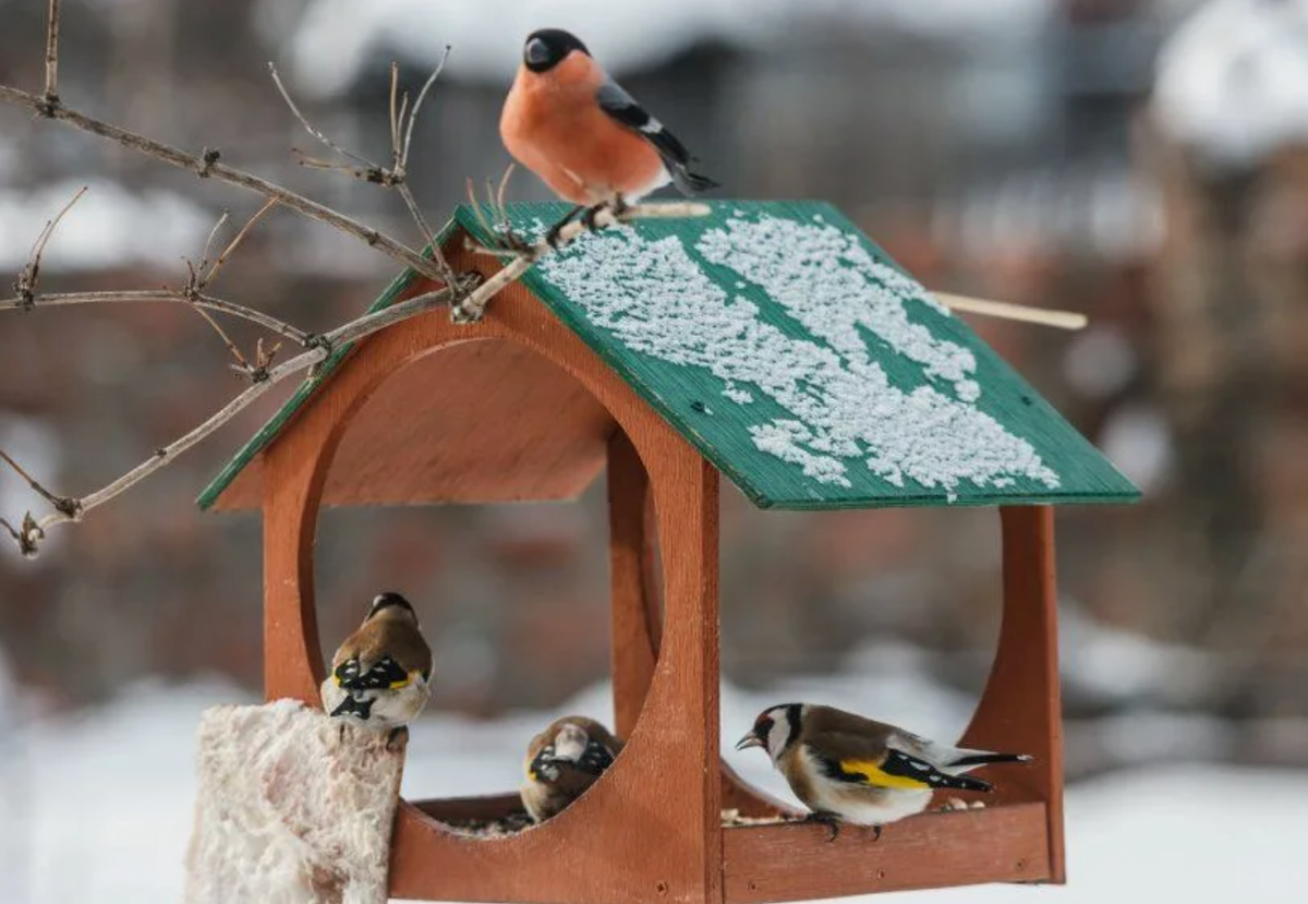 Источник фото: pinterest.com