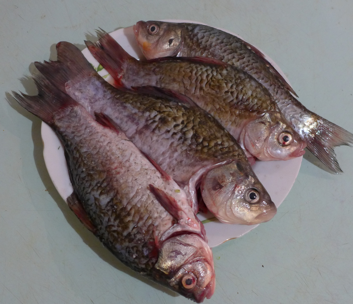 Караси очищены от чешуи, выпотрошены, удалены жабры, тщательно промытые.