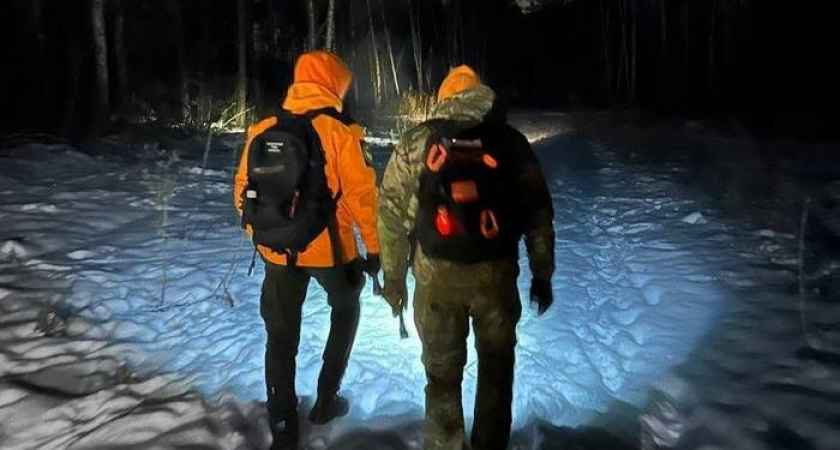    Поиски Александры Лалачкиной. Обложка © VK/ Поисковый отряд "ЛизаАлерт" Воронежской области