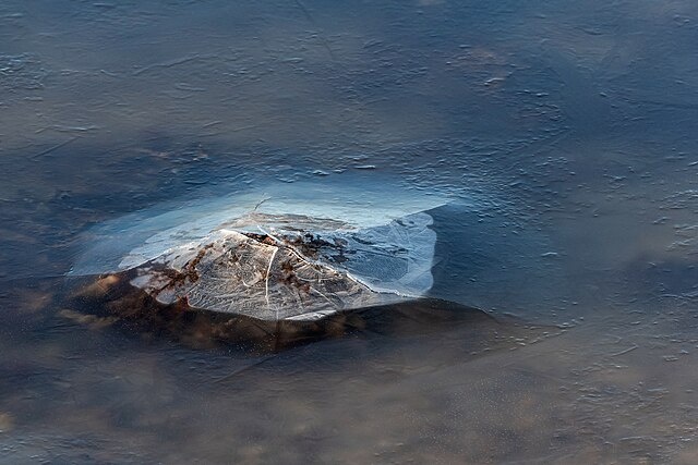    New ice cracking on a stone covered with algae as the tide goes out at Govik, Lysekil Municipality, Sweden. Василий Соколов