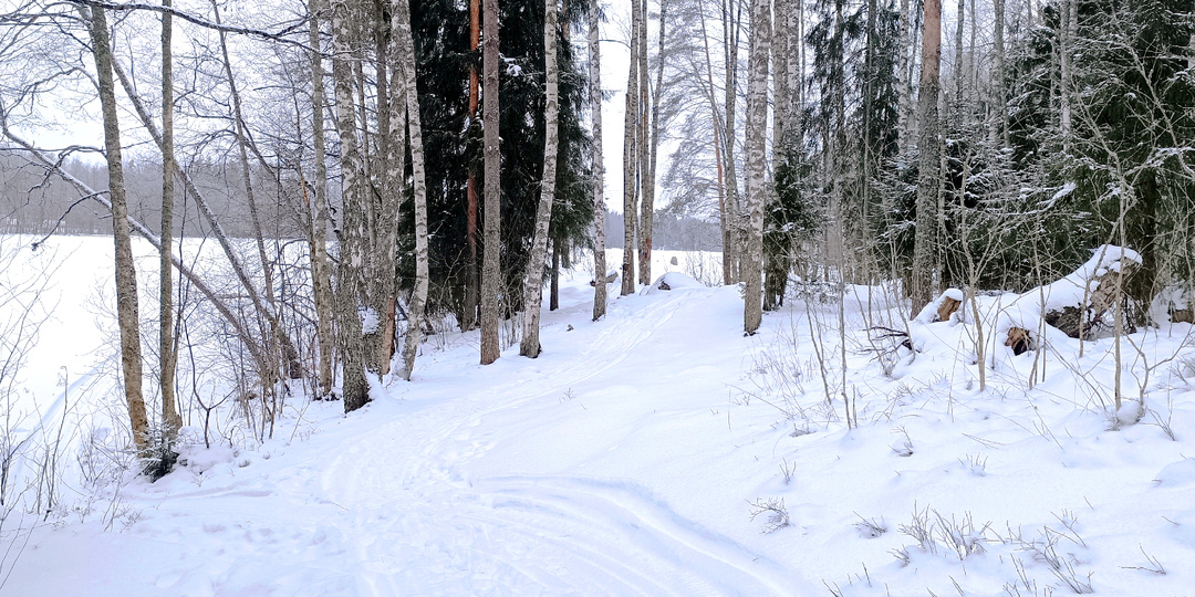 Эта копеечная штука спасёт жизнь зимой в лесу — почему я без неё не выхожу на коп