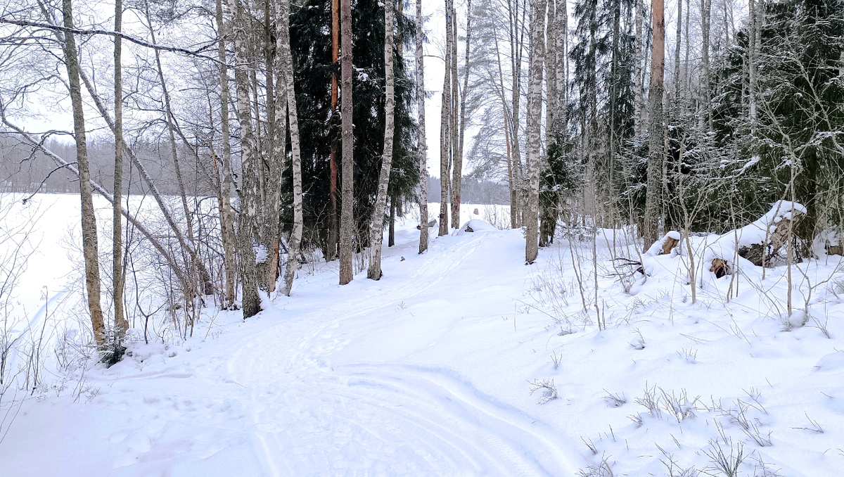 Выборгский район, посёлок Красный холм. 